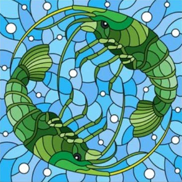 45484778193114|45484778225882|45484779339994
