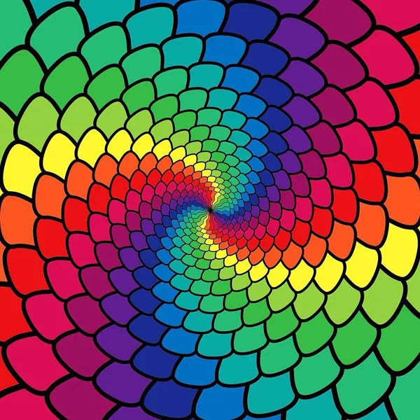 45484610060506|45484610093274|45484610126042