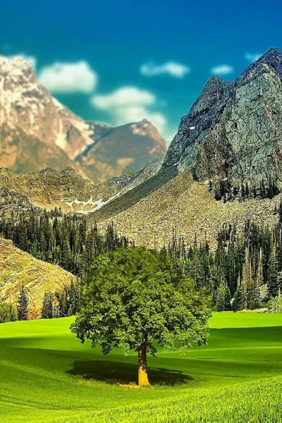 45484519489754|45484519522522|45484519555290