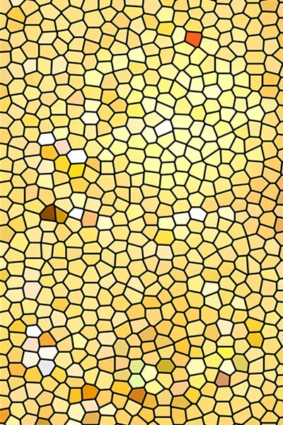 45484490621146|45484490752218|45484490784986